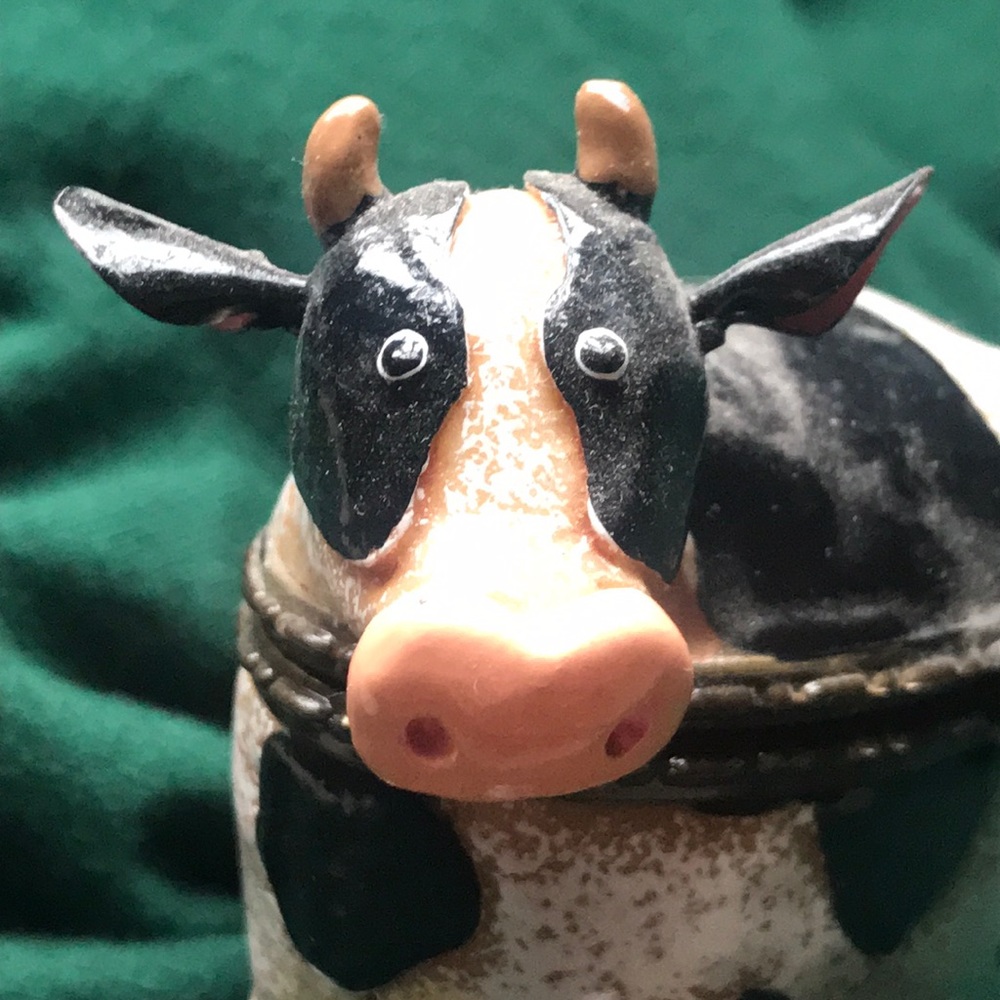 Meet your Posher, Pattie
